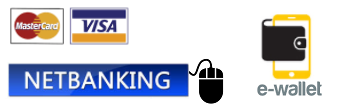 Online Payment